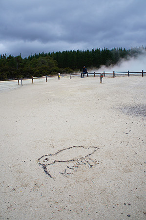 Wai-o-Tapu Thermal Wonderland