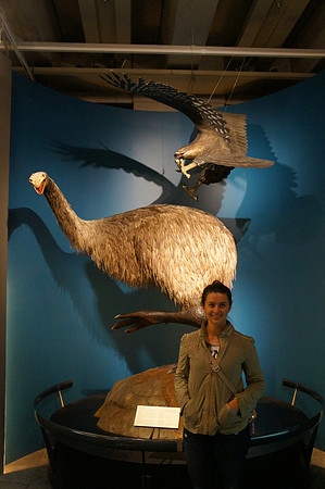 Museum of New Zealand Te Papa Tongarewa, WellingtonMuseum of New Zealand Te Papa Tongarewa, Wellington
