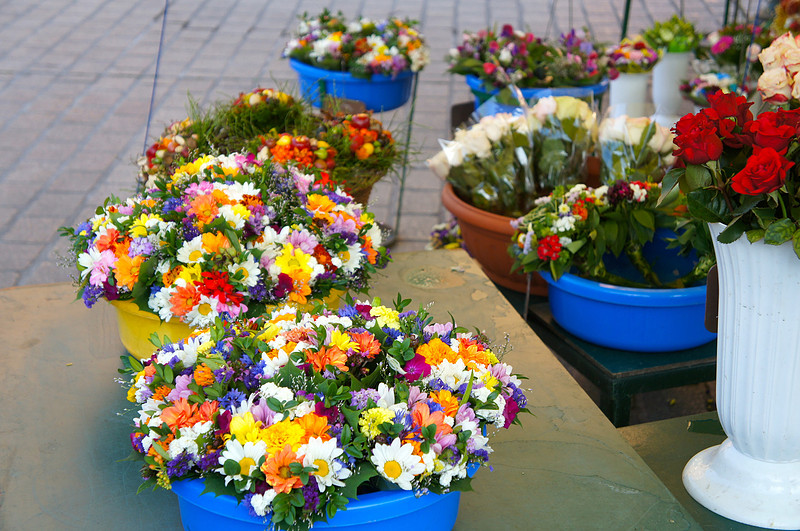 Flowers in Main Market Square