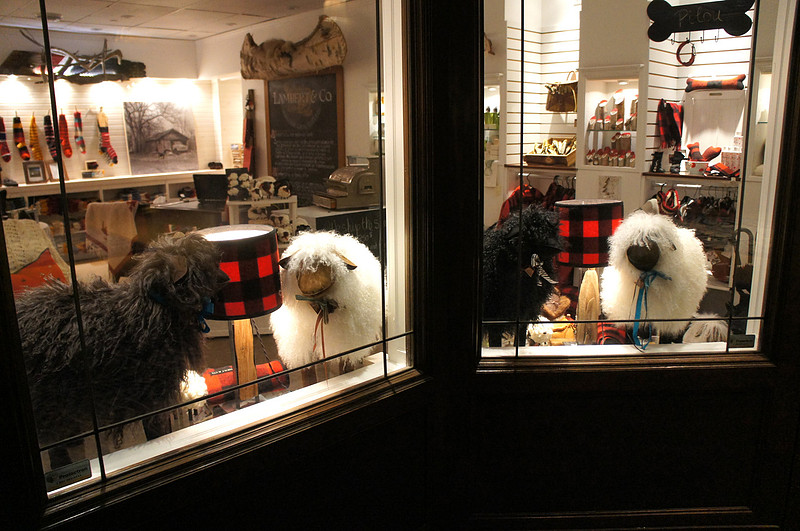 Cute lambs at a gift shop. 