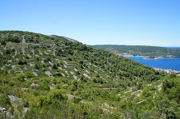 Vis from atop
