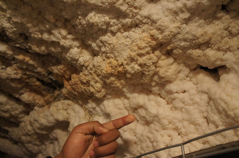 Wieliczka Salt Mine
