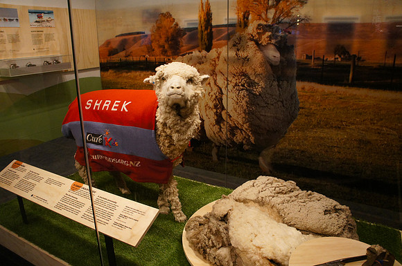 Museum of New Zealand Te Papa Tongarewa, Wellington