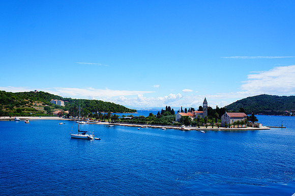 Vis