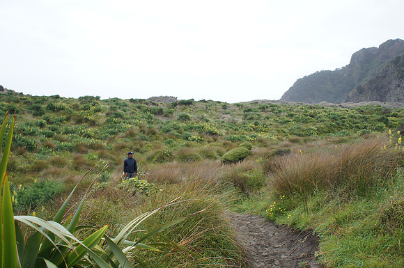 Karekare Beach