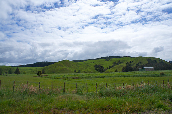 Driving from Auckland to Taupo