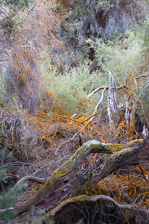 Wai-o-Tapu Thermal Wonderland
