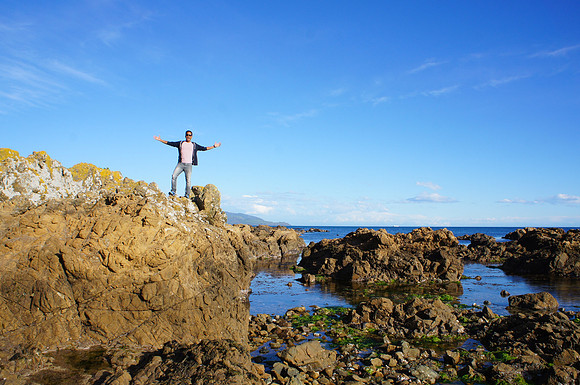 Wellington