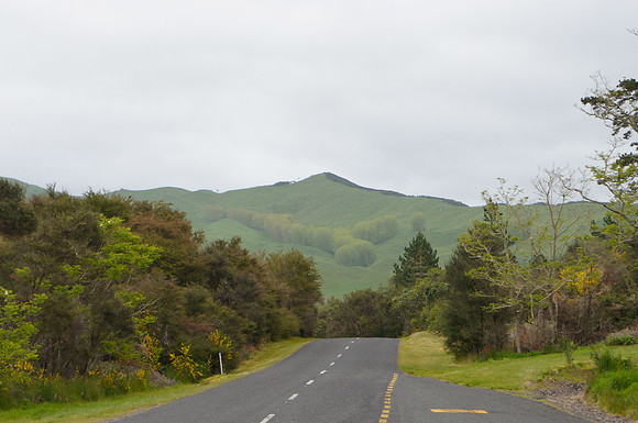 Rolling hills near Rotorua